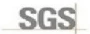 SGS SGS logosu